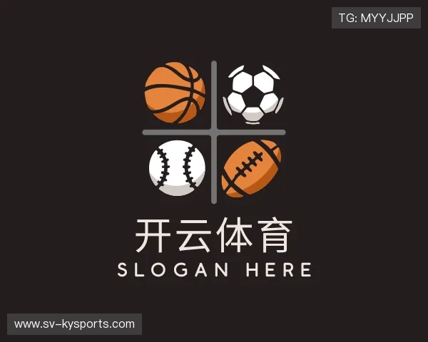 关于开云体育app入口